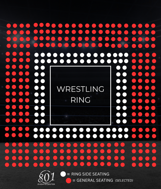 MICRO MANIA WRESTLING