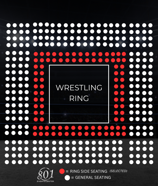 MICRO MANIA WRESTLING